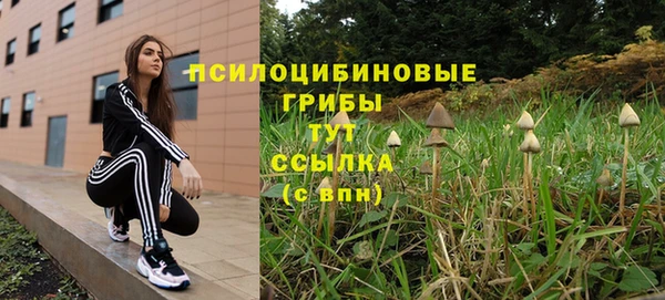 прущие крисы Алексин