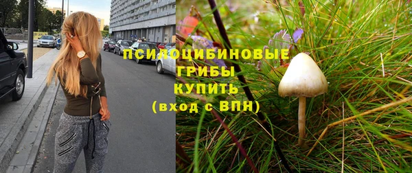спайс Алексеевка