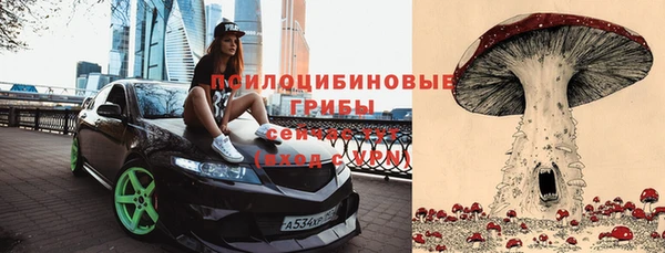 спайс Алексеевка